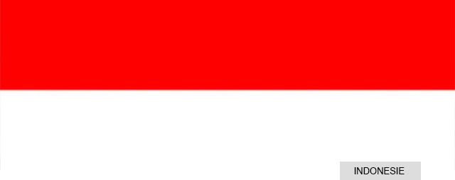 Indonésie drapeau