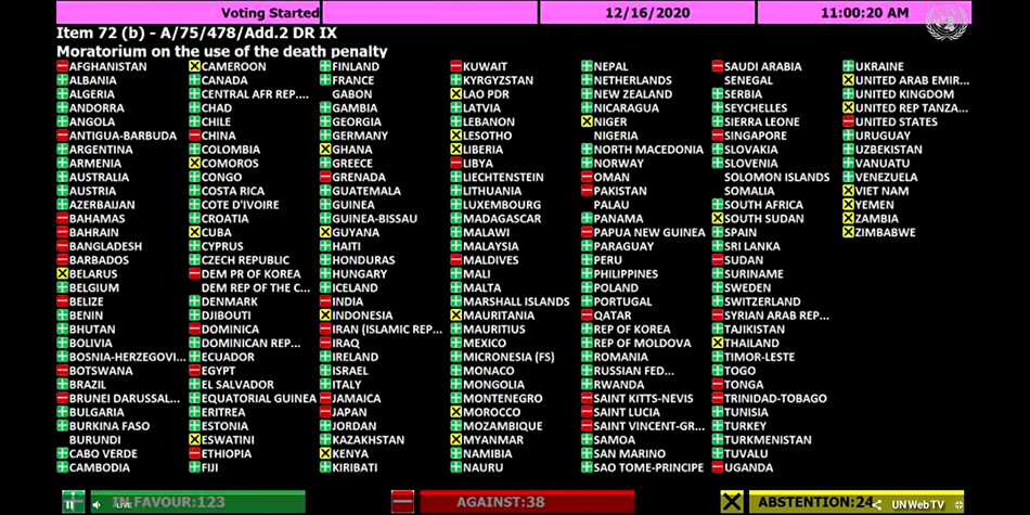 UN Moratorium Plenary Session Vote