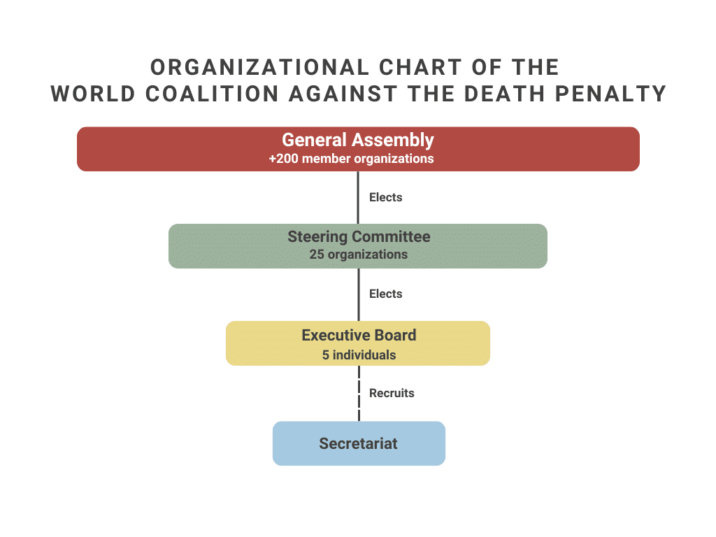 Organizational Chart of the World Coalition Against the Death Penalty