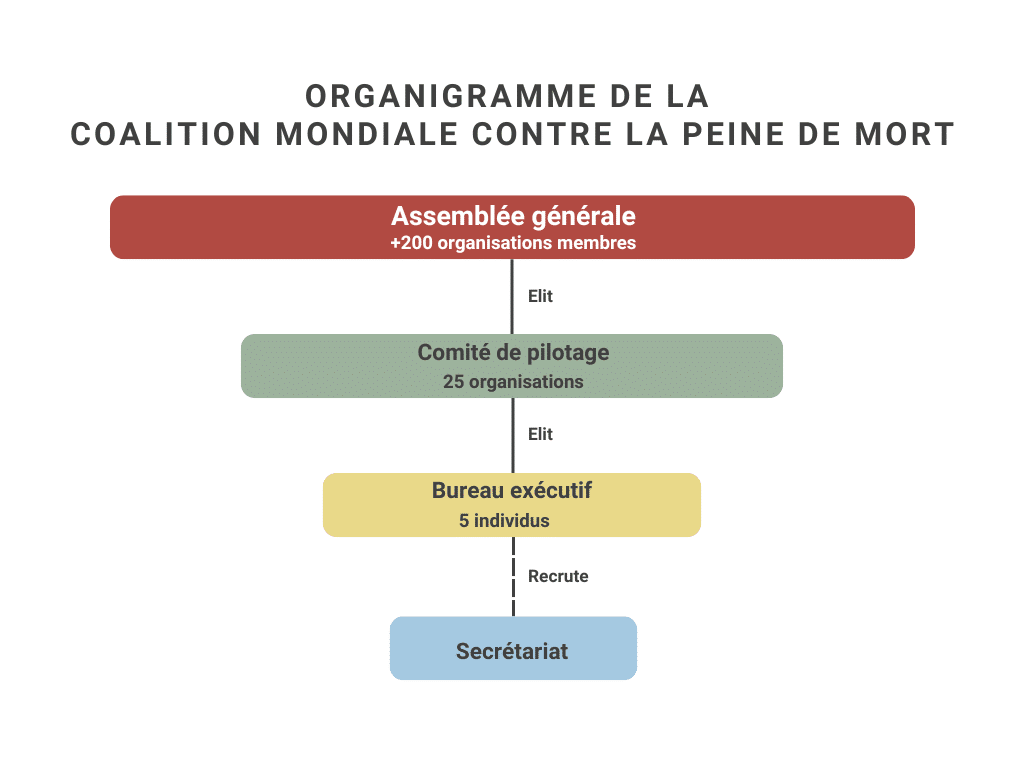 Organigramme de la Coalition mondiale contre la peine de mort